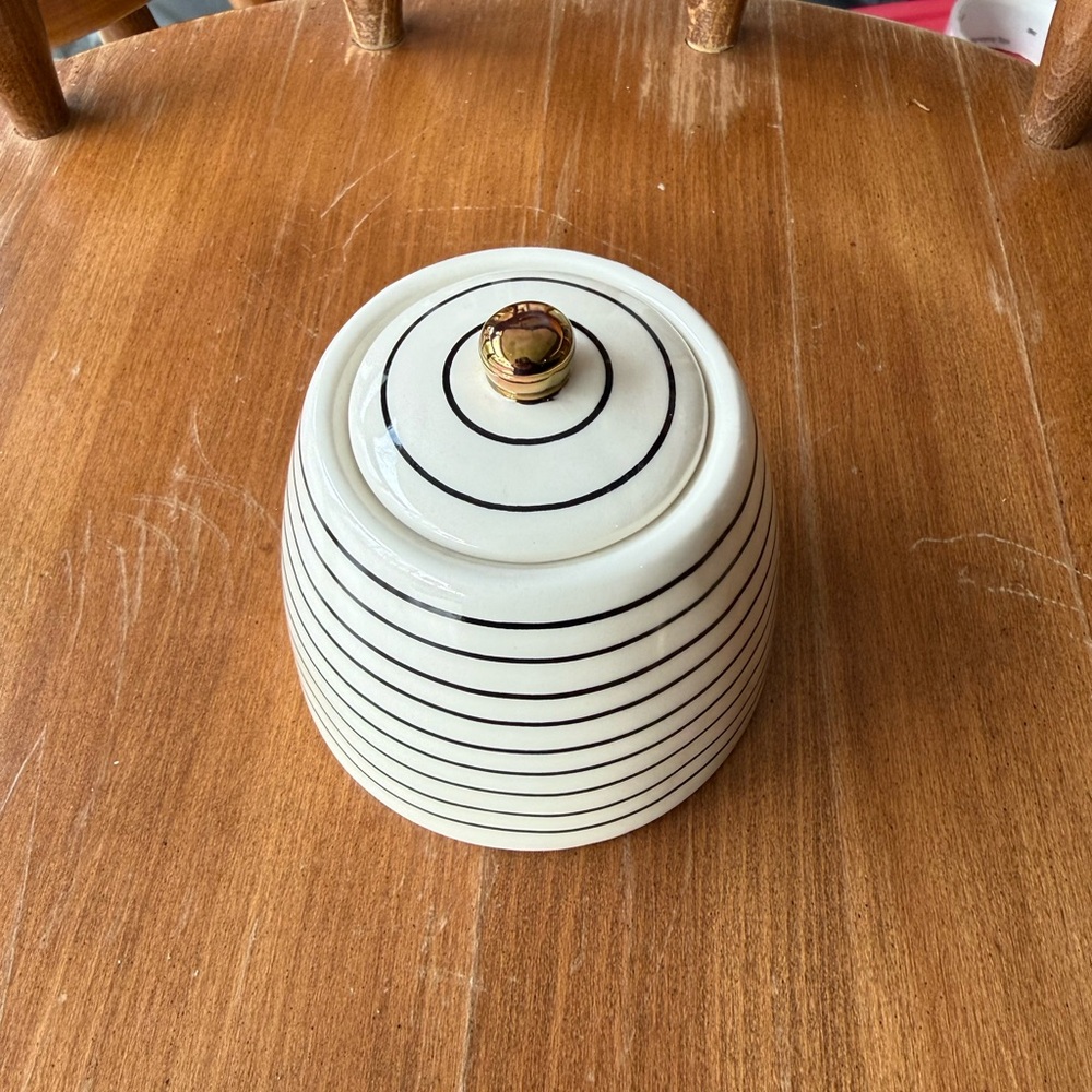 Thyme & Table Stoneware Jar with Lid, White Black Striped, Gold Handle